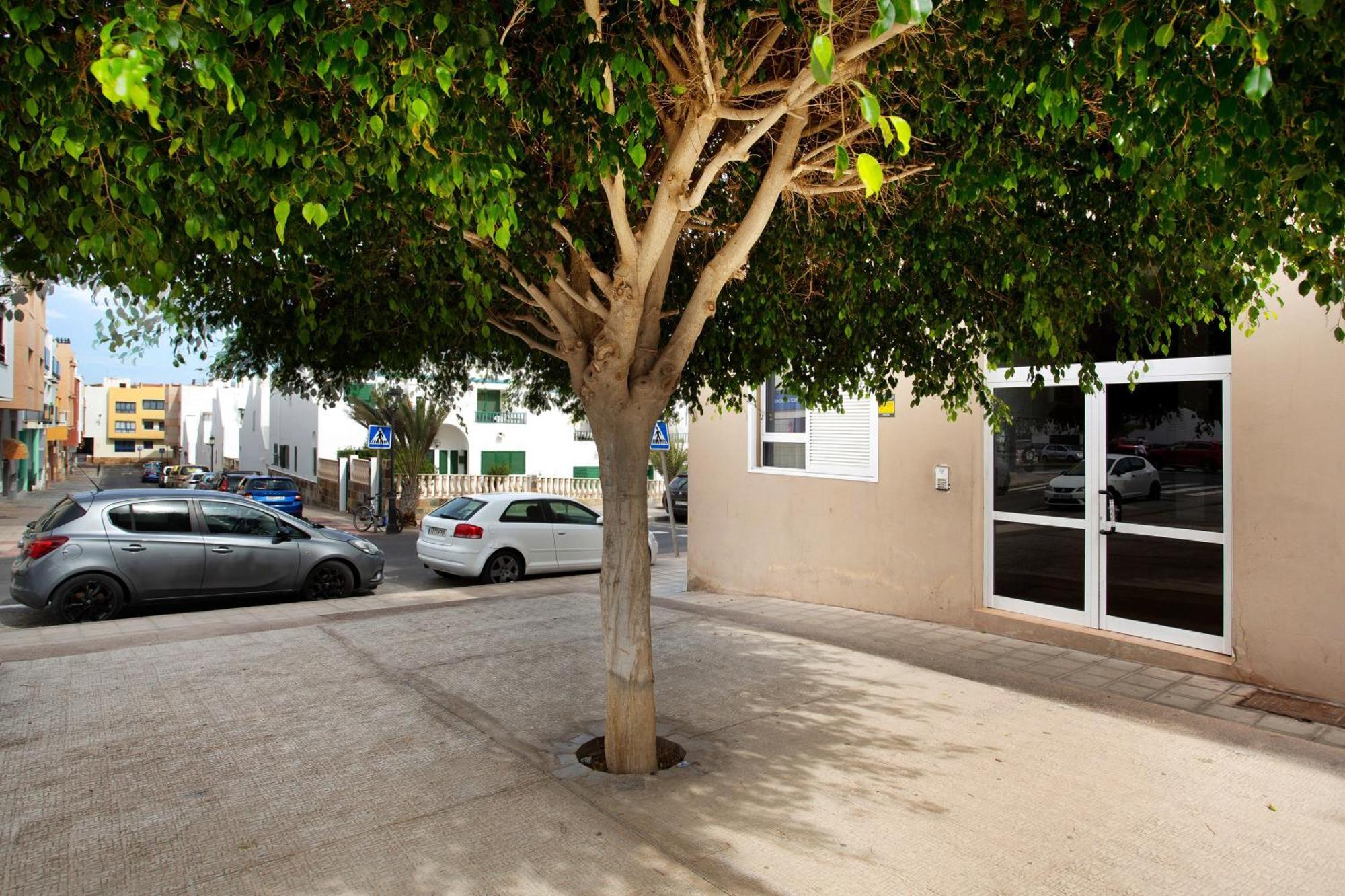 Appartement Piso Del Mar Corralejo